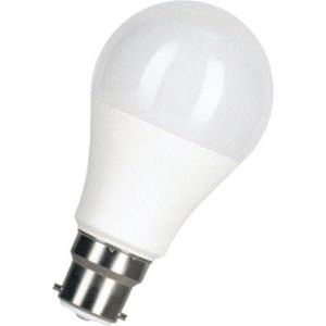Bailey - LED Lamp - B22d Bajonetfitting - Standaardlamp - 10W - 2700K