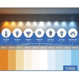 Bailey - LED Lamp - Warm Wit - 4.5W - PL Fitting