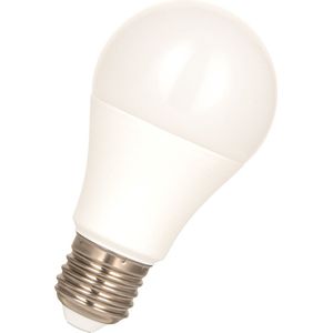 Bailey | LED lamp | Grote fitting E27 | Standaardlamp | 60mm | 10W