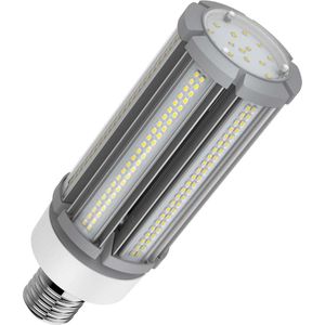 Bailey | LED Buislamp | Extra grote fitting E40 | 63W