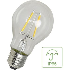 Bailey LED lamp E27 | Peer A60 | Filament | Helder | IP65 | 2700K | 4W