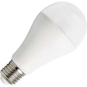 Bailey | LED lamp | Grote fitting E27 | Standaardlamp | 65mm | 20W