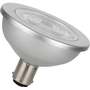 Bailey LED Reflektorlampe 12V | Ba15d 7,5W | ⌀70mm Dimmbar