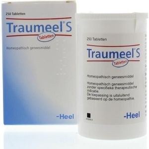 Heel Traumeel S 250tb