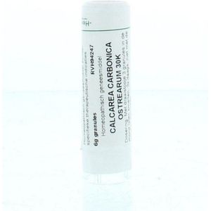 Homeoden - Calcarea Carbonica Ostrearum - 30K - 6 Gram Granules