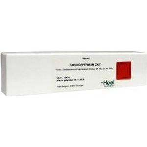 Homeoden - Heel Cardiospermum - Zalf/Cremé - 50 gram