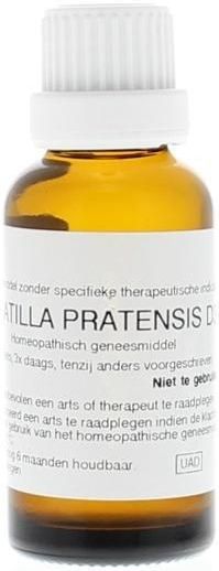 Homeoden Heel Pulsatilla pratensis d30 30ml