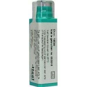 Homeoden - Heel Sulphur MK - Homeopathisch Geneesmiddel - 6 Gram Granules