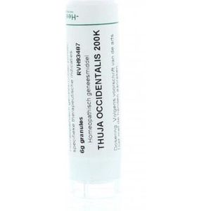 Homeoden - Thuja Occidentalis 200K - Granules - 6 Gram