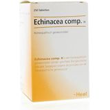 HEEL ECHINACEA COMPOSITUM H
