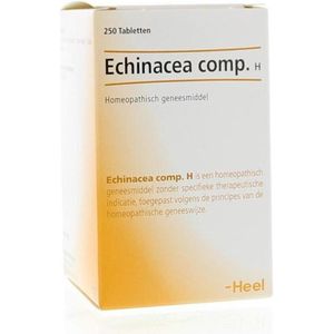 HEEL ECHINACEA COMPOSITUM H