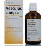 Heel Aesculus Compositum H - 1 x 100 ml