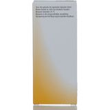 Heel Aesculus Compositum H - 1 x 100 ml