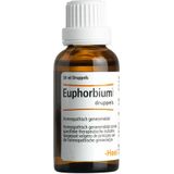 Heel Euphorbium compositum h  30 Milliliter