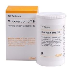 Heel Mucosa compositum H 250tb