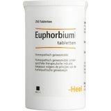 Homeopathisch Geneesmiddel - Euphorbium Compositum H - 301,5 mg - Tabletten