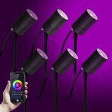 6x LED Pin Tuinspot Zwart met Color LED