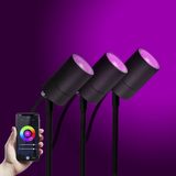 3x LED Pin Tuinspot Zwart met Color LED