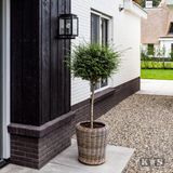 Wandlamp - Modern - Zwart - Metaal