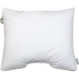 Polydaun Juliette - Hoofdkussen - Neksteun - ergonomisch - 65x55x5/0 cm - Comfort-O-Bol