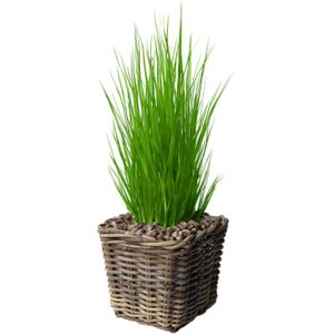 Rieten mand voor planten, grote gevlochten bloempot van rotan, moderne en praktische binnenpotafdekking, natuurlijke rieten plantenmand, decoratie voor huis en elegante opslag, diameter (M