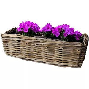Balkonbakken action - Hanging baskets kopen? | Korting tot 8% | beslist.nl