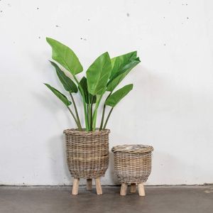 Van der Leeden plantenmand op poten rotan grijs D 41 H 54 cm