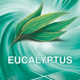 2x Ajax Allesreiniger Eucalyptus 5 liter