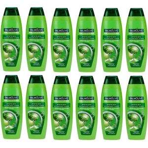 PALMOLIVE Naturals Shampoo- Silky Shine Effect - 12x 350 ml - Voordeelverpakking