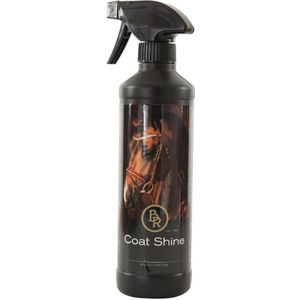 BR Glansspray 500 ml