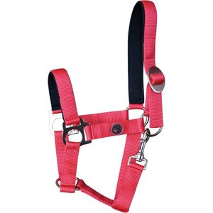 Halster padded rood shetland