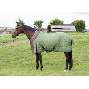 Harry's Horse Staldeken Highliner 200grs - maat 155/205 - olivine