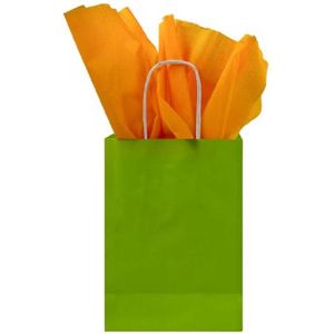 Papieren tas gedraaid handvat - Groen - 19x8x22cm - 250 st/ds.