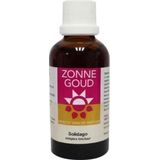 Solidago Simplex Zonnegoud