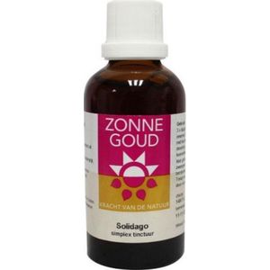 Solidago Simplex Zonnegoud
