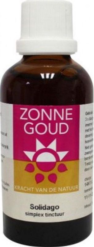 Solidago Simplex Zonnegoud