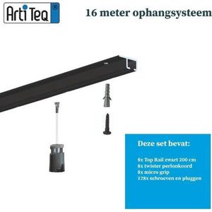 Schilderij ophangsysteem-schilderijophangsysteem-Artiteq-plafondophangsysteem-zwart ophangsysteem-16 METER (inclusief haken en koorden) 9.6834S