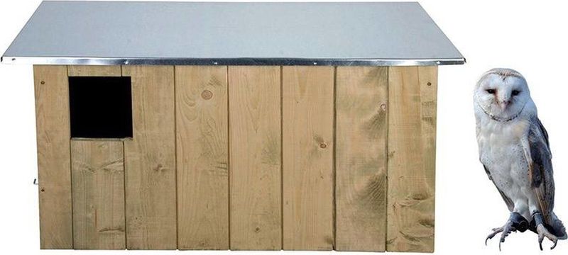 Best for Birds Nestkast - Kerkuil - 86x38x45 cm
