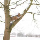 Esschert Design Steenuil - Vogelhuisje
