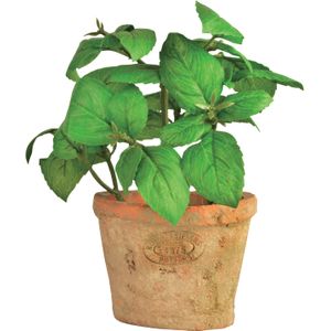 Esschert Design Kunstplant/kruiden basilicum - in oude terracotta pot - 15 cm - kruiden