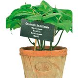 Esschert Design Kunstplant/kruiden basilicum - in oude terracotta pot - 18 cm - kruiden