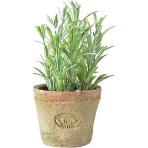 Kunstplant/kruiden rosemarijn - in oude terracotta pot - 16 cm - kruiden - Kunstplanten