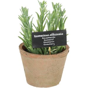 Esschert Design Kunststof plant rozemarijn in pot, maat L, ca. 11 cm x 11 cm x 14 cm