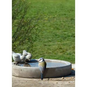 Esschert Design - Vogelbad - Beton - 29 x 29 x 11 cm