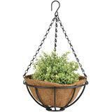 Metalen hanging basket / plantenbak zwart met ketting 25 cm inclusief kokosinlegvel - Hangende bloemen