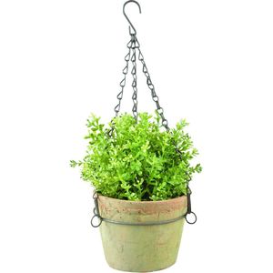 Buiten Plantenhanger Aged Terracotta