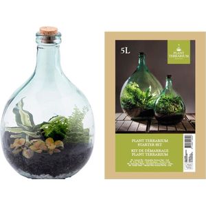 Esschert Design AGG47 terrariumplantenbak met gereedschap, klein, groen