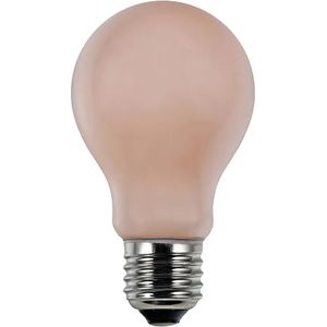Lamp - E27 - 5 Watt - 250 Lumen - Lichtkleur 1.900 K