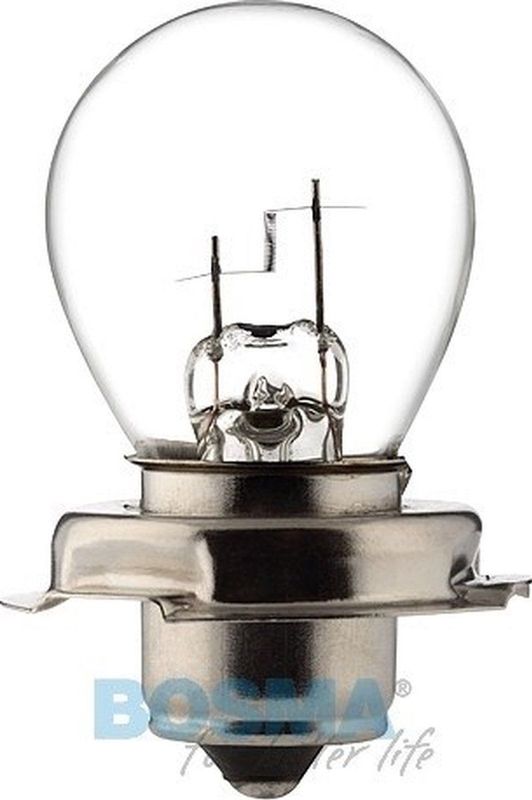 Bosma Kraag lamp 12v 20w