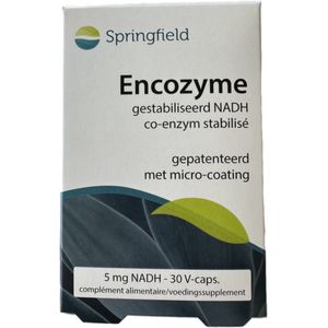 Springfield Encozyme NADH 5mg Tabletten 30 stuks
